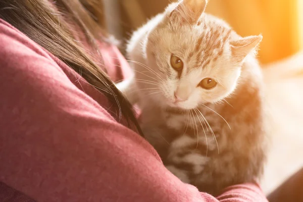 Mujer jugar con su gatito — Foto de Stock