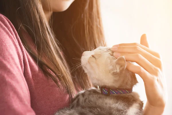 Vrouw spelen met haar kitten — Stockfoto