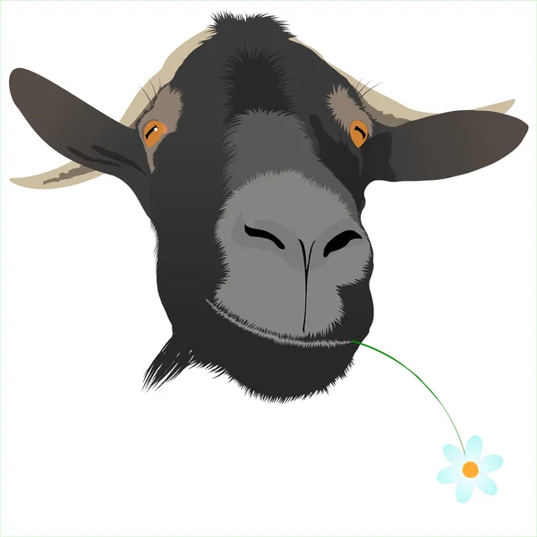 Cool vector goat with flower — Stock Vector
