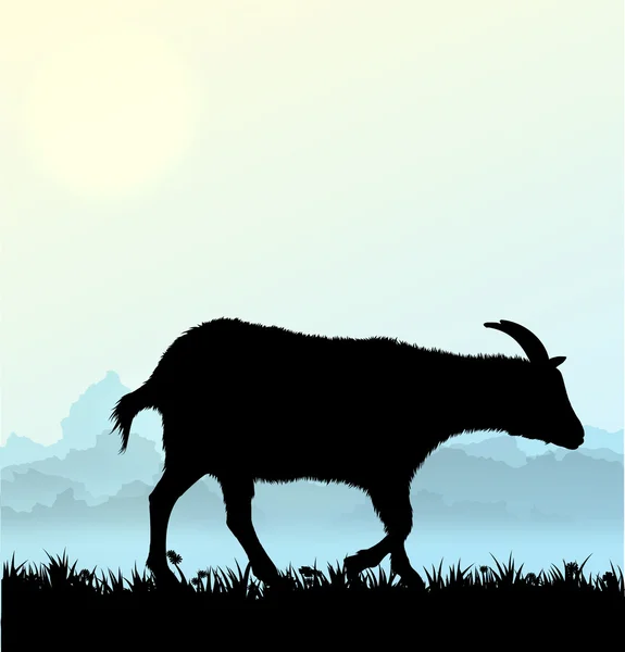 矢量山羊与鲜花和绿草的剪影 — 图库矢量图片