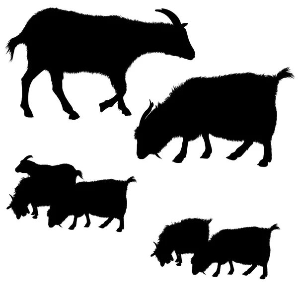 Collection of vector goat silhouettes — Stock Vector