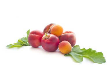 Beyaz arka planda olgun şeftaliler