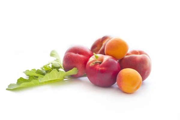 Ripe peaches on white background — Stock Photo, Image