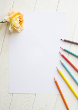 Tek gül ve çizim malzemesi olan A4 kağıdı için maket