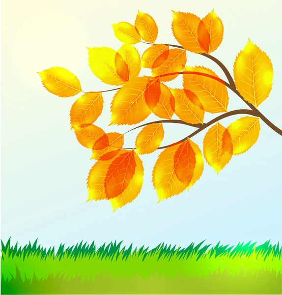 Векорский пейзаж с осенними листьями — стоковый вектор