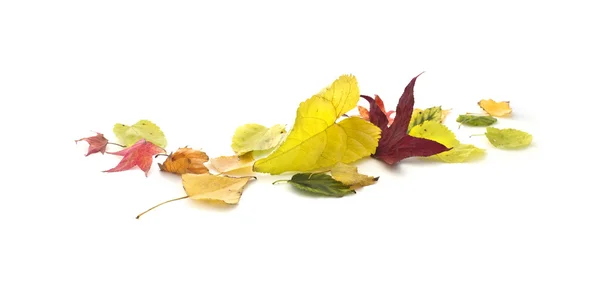 Foglie d'autunno Banner — Foto Stock