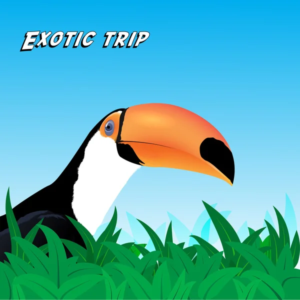 ベクトル エキゾチックな旅行カード — ストックベクタ