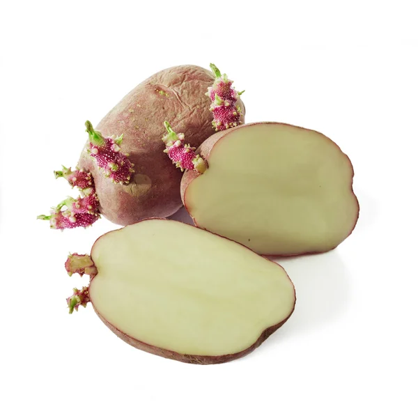 Sprosskartoffeln, Sorte mit roter Schale — Stockfoto