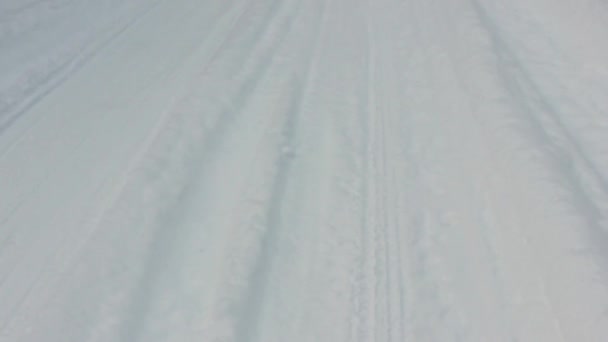 Camino cubierto de nieve que conduce al bosque — Vídeos de Stock