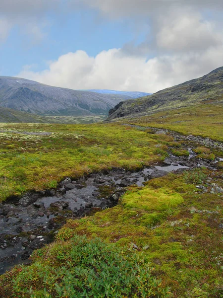 Een Beekje Stroomt Door Het Dal Het Khibiny Gebergte Noord — Stockfoto