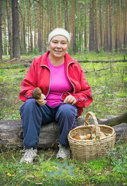 Γυναίκα συλλογή μανιταριών σε ένα πευκόφυτο δάσος — Φωτογραφία Αρχείου