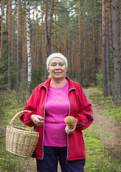 Mujer encontró seta en el bosque de pinos — Foto de Stock