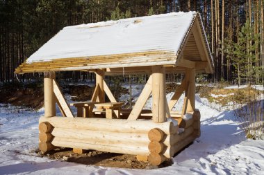 Yuvarlak günlüğünden yeni yol kenarındaki ağaç dikme