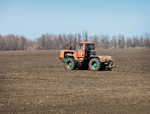 In field is moving an old tractor — Stock Photo, Image