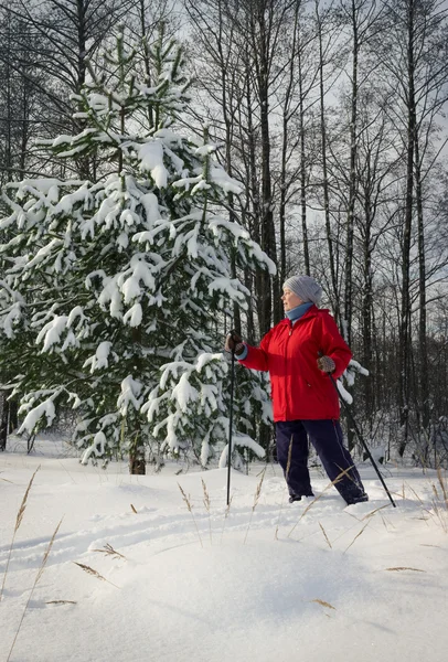 Woman, europeans, winter in the woods — Stock Photo, Image