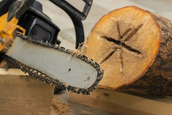 Making birdhouse from alder logs with chainsaw — Stock Photo, Image