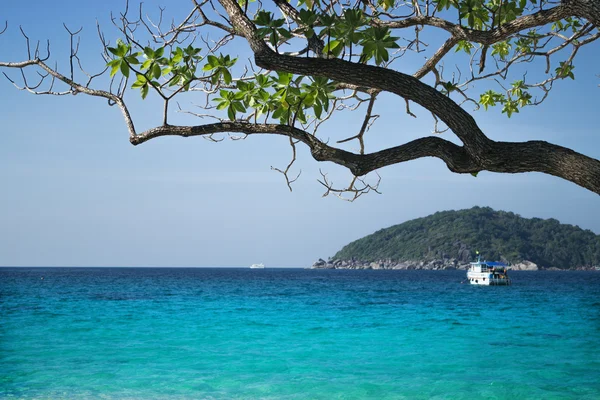 Prachtig zeegezicht, uitzicht vanaf de kust — Stockfoto