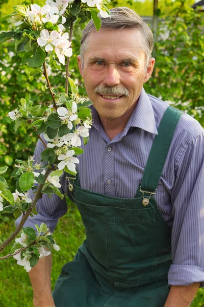 Man advanced in years in the spring garden — Stock Photo, Image