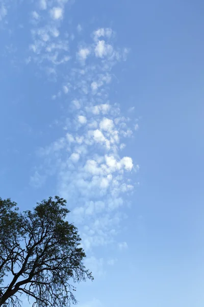 Błękitne niebo chmury mały — Zdjęcie stockowe