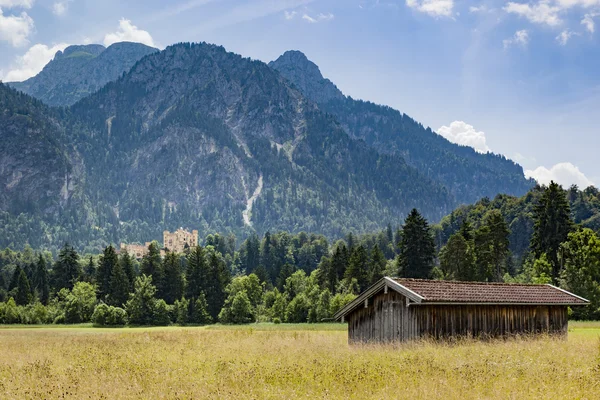 Palazzo Hohenschwangau in montagna — Foto Stock