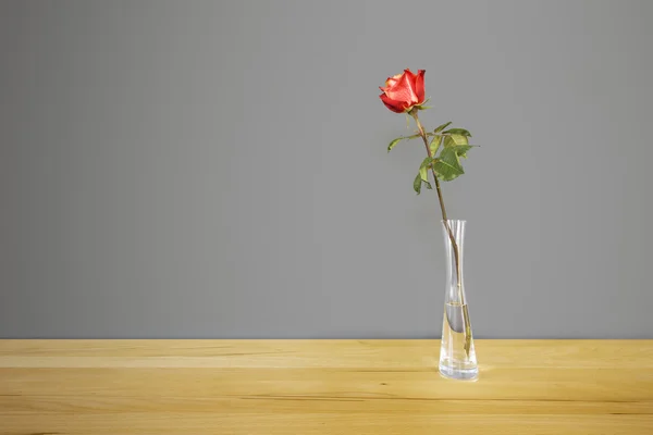 Rosa roja en jarrón de cristal —  Fotos de Stock