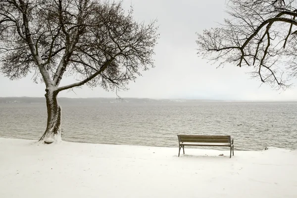 Bench in a snowy winter senery — Stock Photo, Image