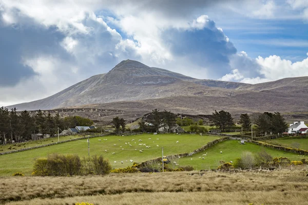 Landschaft am Donegal — Stockfoto