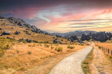 Castle Hill Yeni Zelanda 'daki manzara resmi.