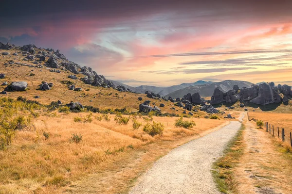 Ein Bild Einer Landschaft Castle Hill Neuseeland — Stockfoto