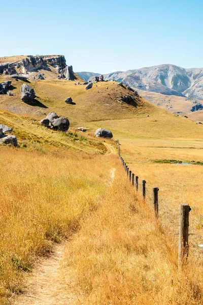 Ein Bild Einer Landschaft Castle Hill Neuseeland — Stockfoto