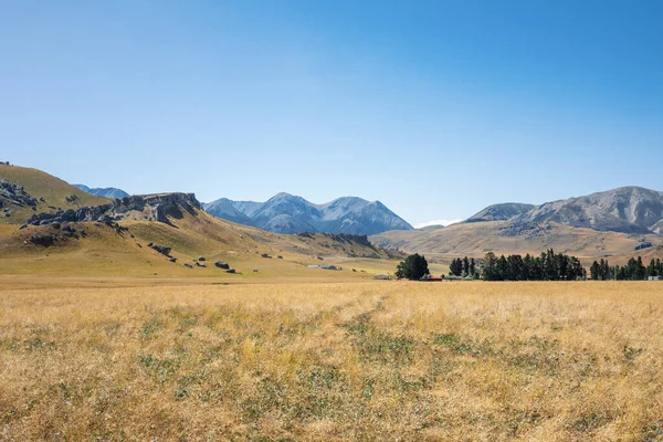 Image Landscape Scenery Castle Hill New Zealand — Stock Photo, Image