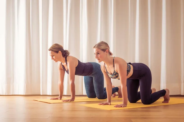 Evde Yoga Yapan Iki Kadının Görüntüsü — Stok fotoğraf