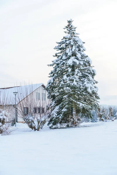 Das Bild Einer Kalten Winterschneelandschaft — Stockfoto