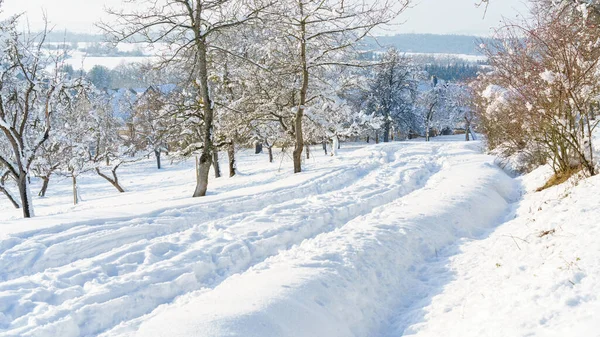Una Imagen Frío Paisaje Nieve Invierno —  Fotos de Stock