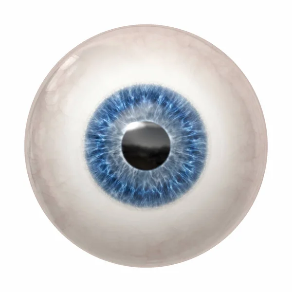 Illustration Blue Human Iris — Stock Photo, Image