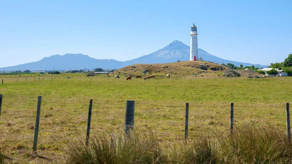 Una Imagen Del Faro Cabo Egmont Nueva Zelanda Isla Del —  Fotos de Stock