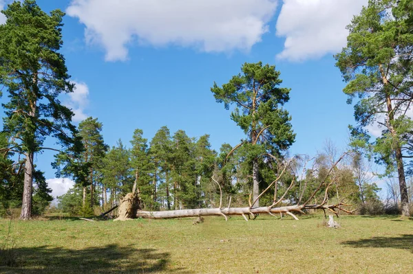 Een Afbeelding Van Een Landschap Landschap Zuid Duitsland — Stockfoto