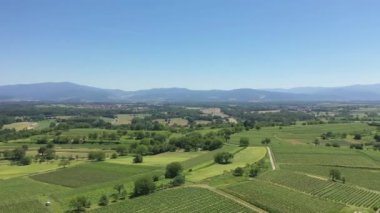 breisgau Kara Orman Freiburg Bölgesi