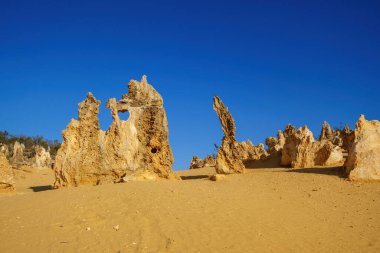 Avustralya 'daki Nambung Ulusal Parkı' ndaki Pinnacles Çölü 'nün bir resmi.