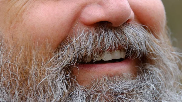 Une Image Sourire Homme Barbu — Photo