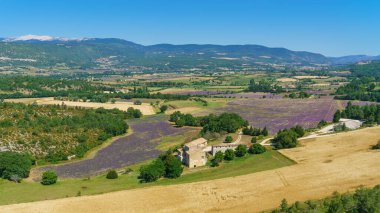 Belvedere De Saint Jean France 'ın lavanta tarlalı bir resmi