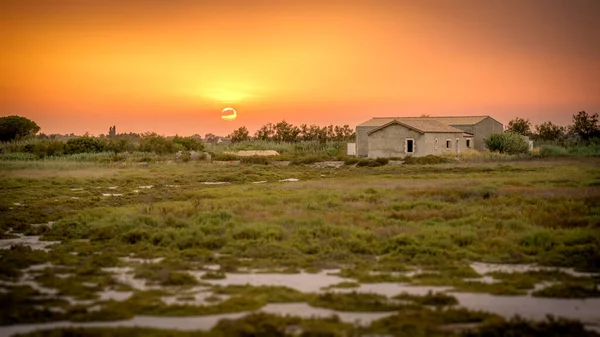 Ein Bild Eines Wunderschönen Sonnenuntergangs Der Camargue Frankreich — Stockfoto