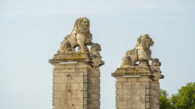 Arles France 'daki aslan heykeli.