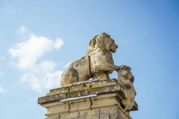 Μια Εικόνα Ενός Αγάλματος Λιονταριού Στην Arles France — Φωτογραφία Αρχείου