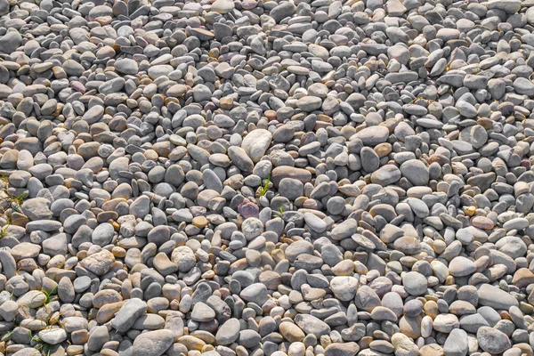 Ein Bild Von Einem Hellen Kieselsteinhintergrund — Stockfoto