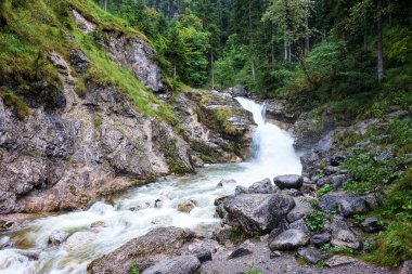 Kuhfluchtfaelle Farchant