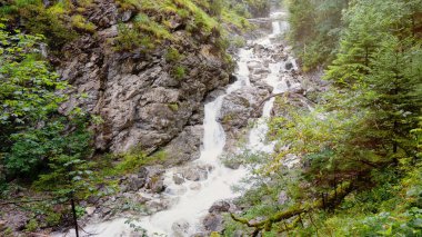 Kuhfluchtfaelle Farchant