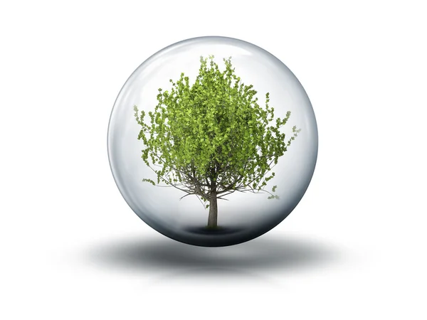 Bubble with a tree — Stock Photo, Image