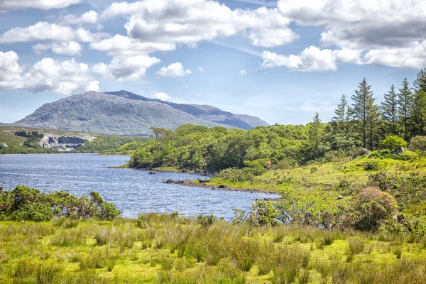 Lough Corrib Irlande — Photo