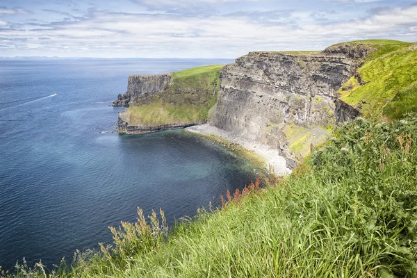 Moher sziklái — Stock Fotó